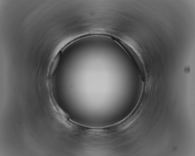 X0000090601342200707311153