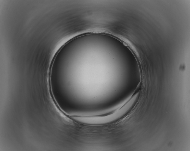 X0000090601343200707311153