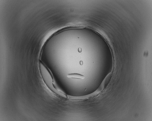 X0000090601344200707311153