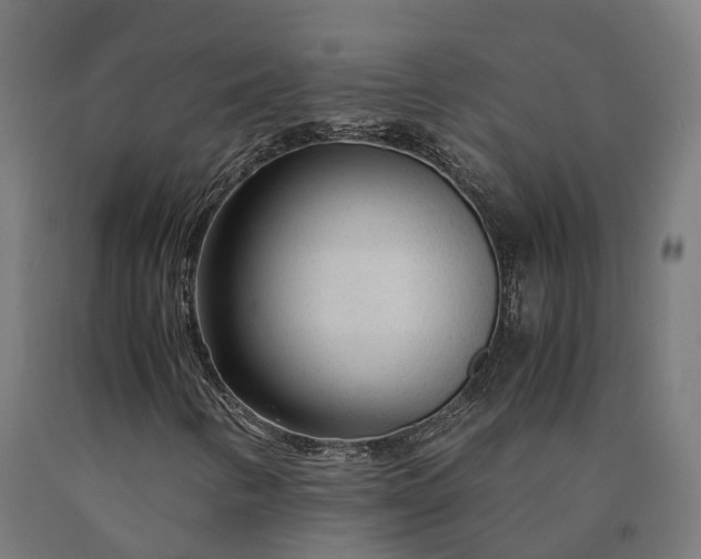 X0000090601346200707311153