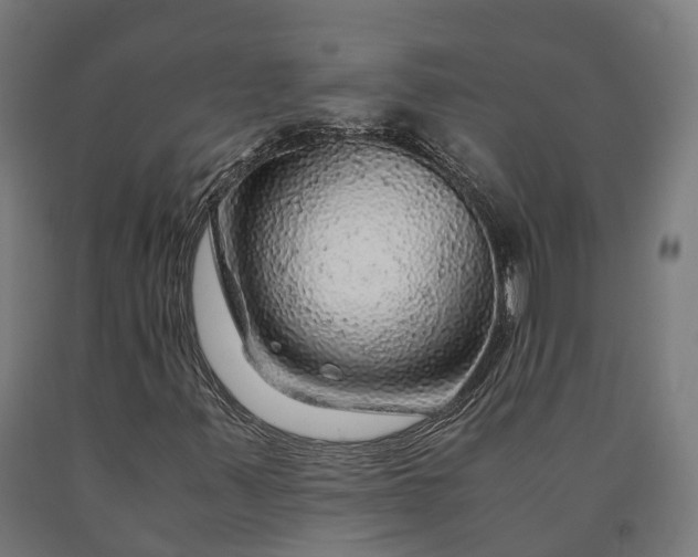 X0000090601347200707311153