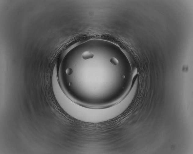 X0000090601348200707311153