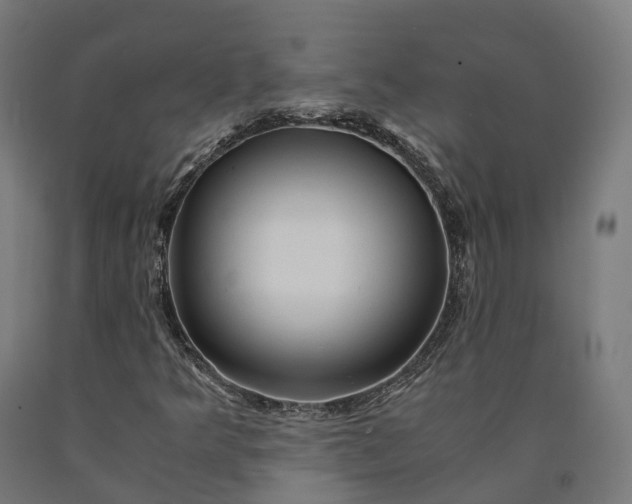 X0000090601349200707311153