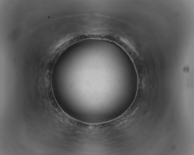 X0000090601350200707311153