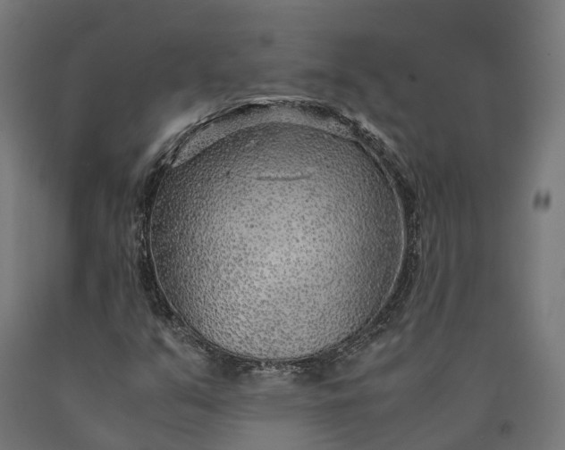 X0000090601351200707311153