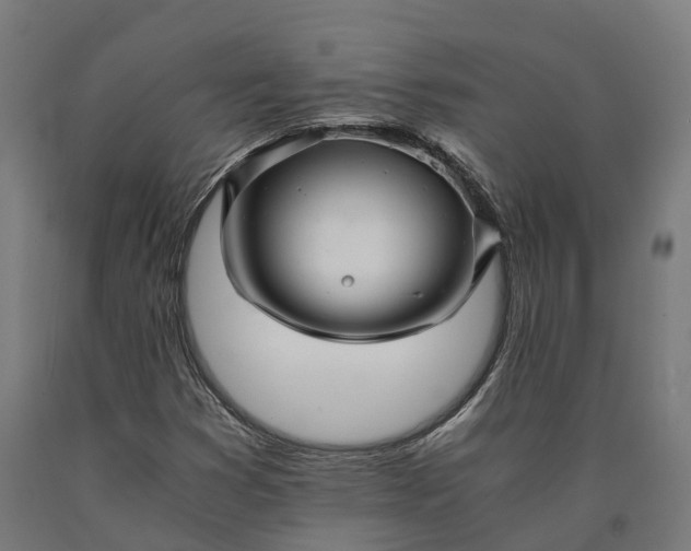 X0000090601353200707311153