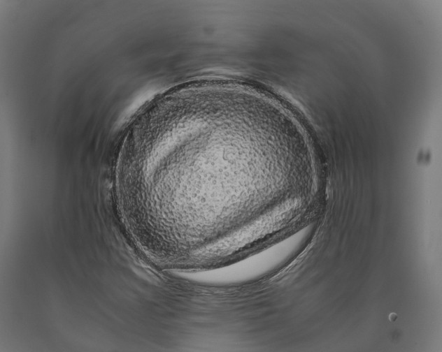 X0000090601355200707311153