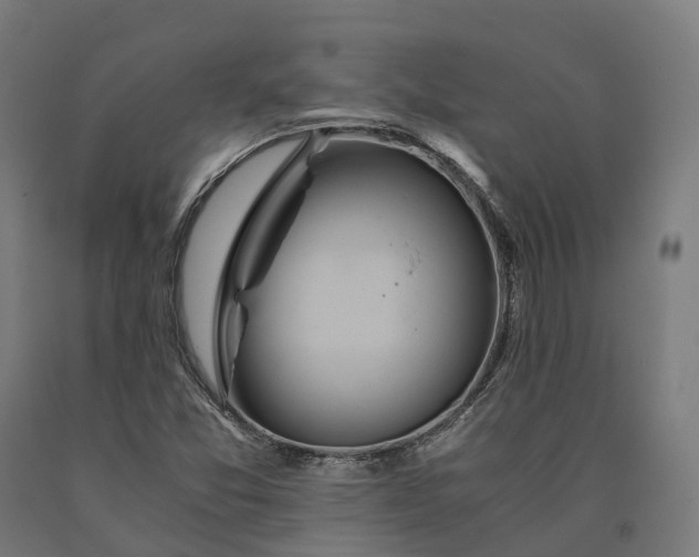 X0000090601357200707311153