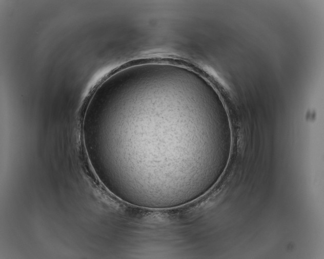 X0000090601358200707311153