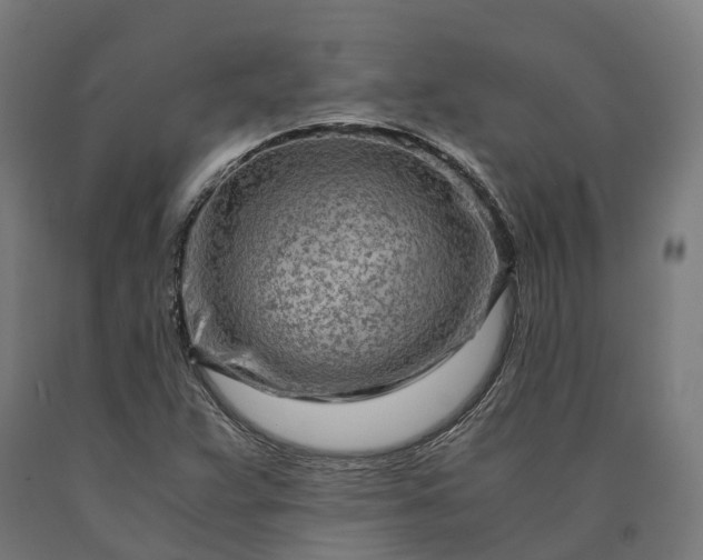 X0000090601359200707311153