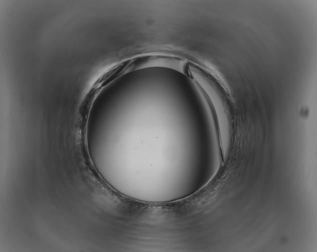 X0000090601360200707311153