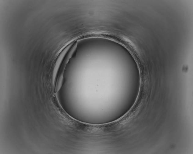 X0000090601361200707311153