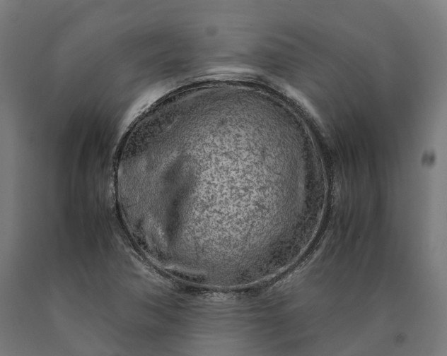 X0000090601362200707311153