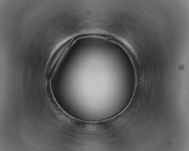 X0000090601364200707311153