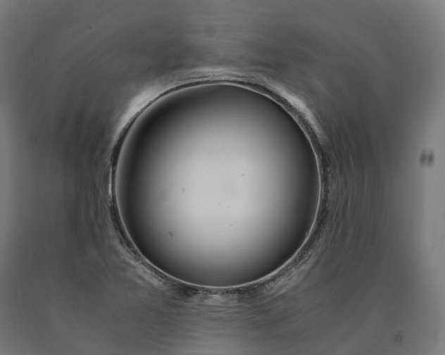 X0000090601365200707311153