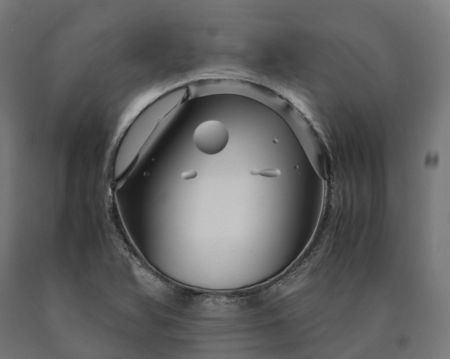 X0000090601366200707311153