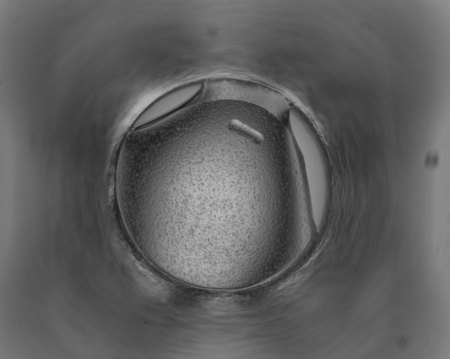 X0000090601367200707311153