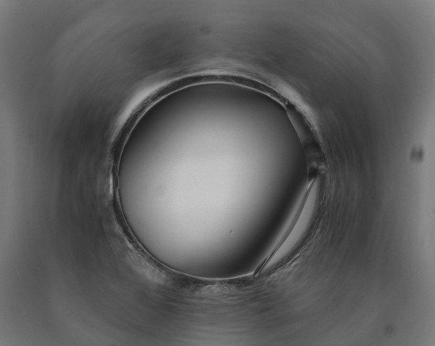 X0000090601368200707311152