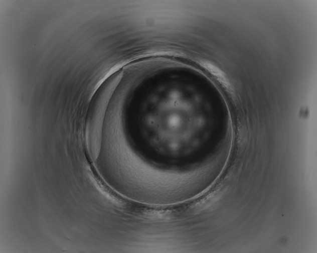 X0000090601369200707311152