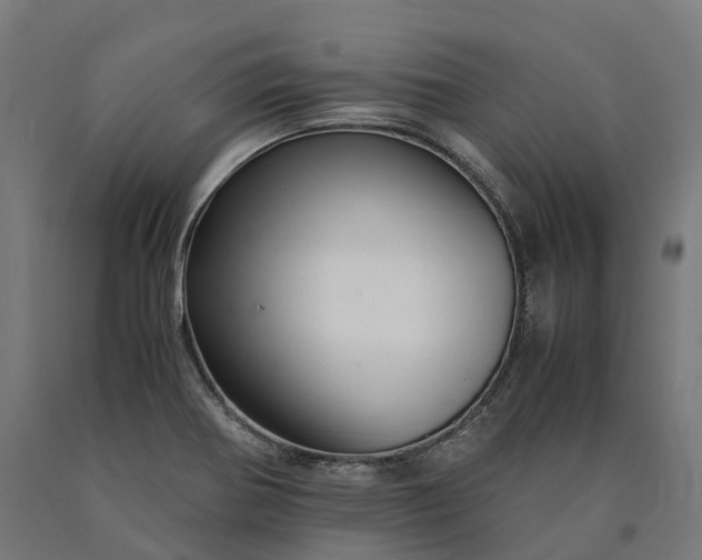 X0000090601370200707311152