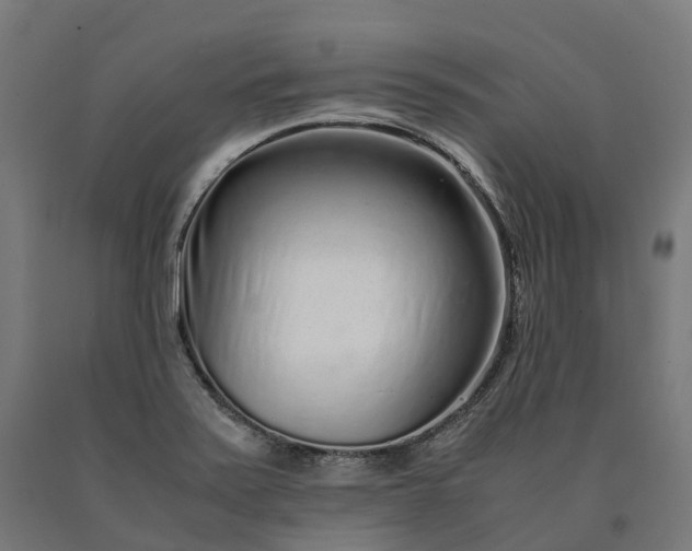 X0000090601371200707311152