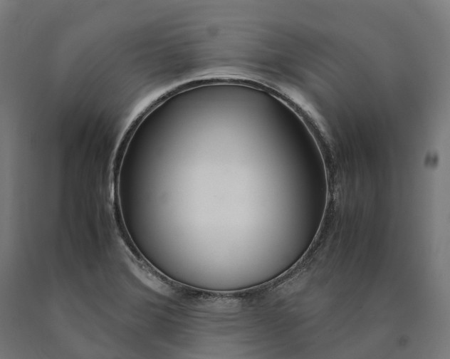 X0000090601372200707311152