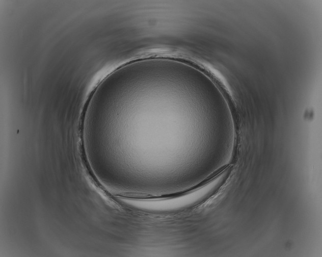 X0000090601373200707311152