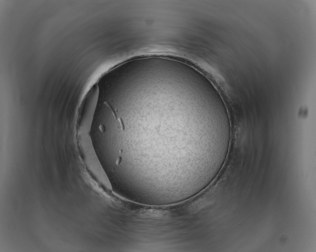 X0000090601374200707311152