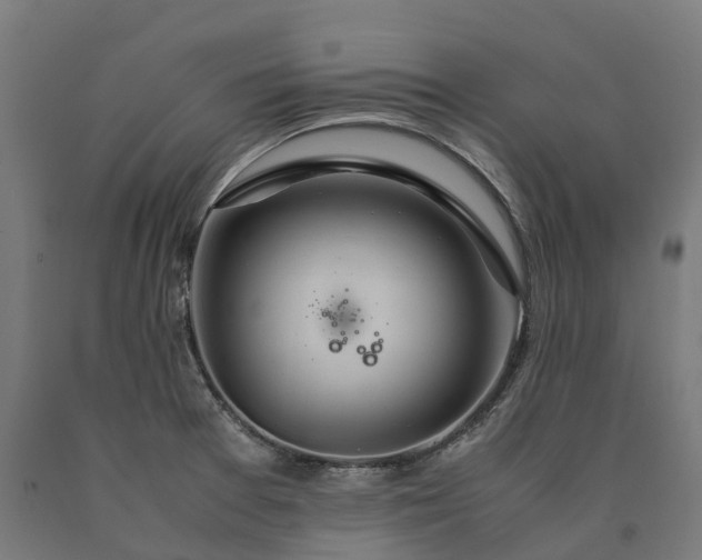 X0000090601377200707311152