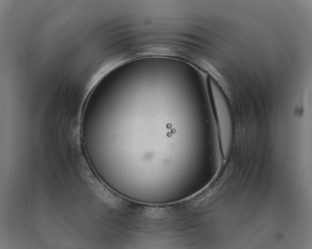 X0000090601378200707311152