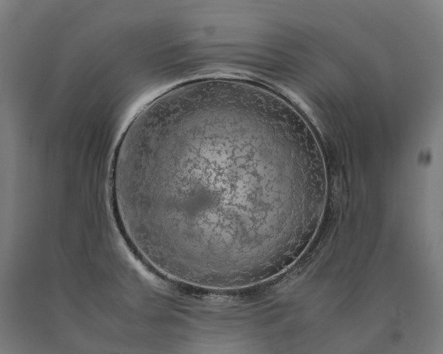 X0000090601379200707311152