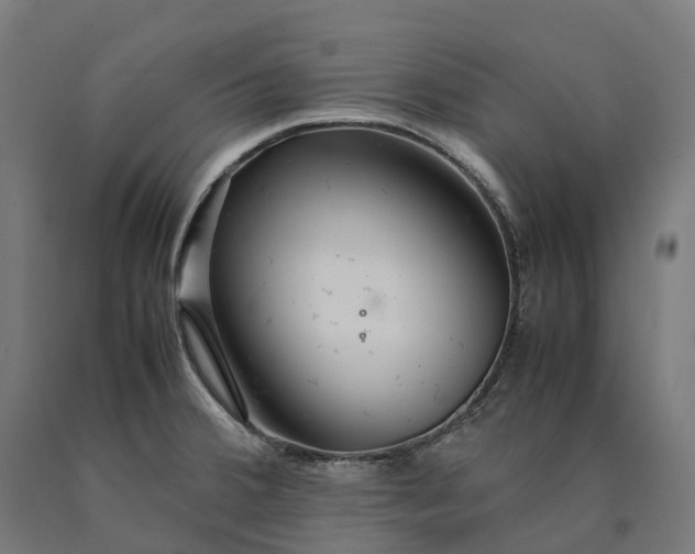 X0000090601380200707311152