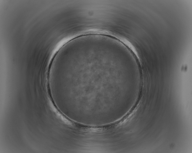 X0000090601381200707311152