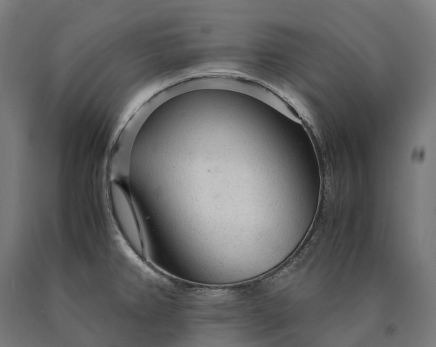 X0000090601382200707311152