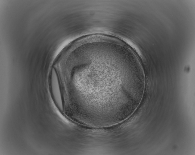 X0000090601383200707311152