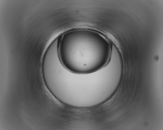 X0000090601384200707311152