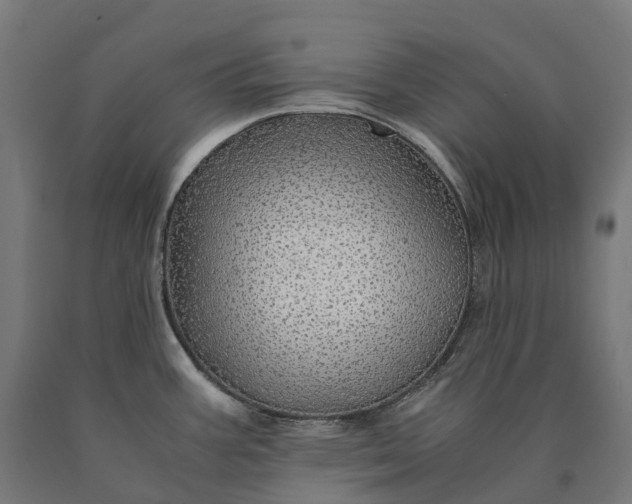 X0000090601387200707311152