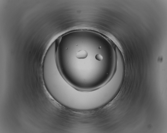 X0000090601388200707311152