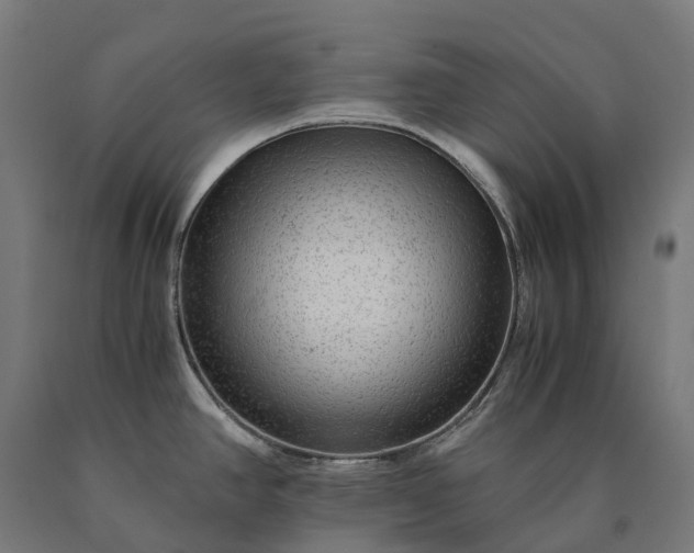 X0000090601390200707311152