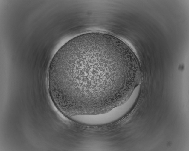 X0000090601391200707311152