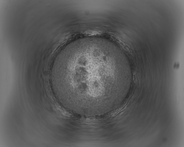 X0000090601393200707311151