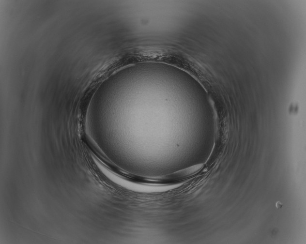 X0000090601394200707311151