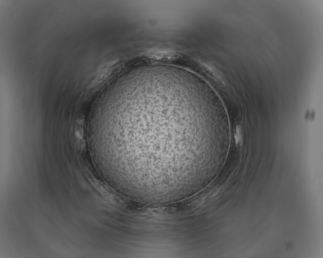 X0000090601396200707311151