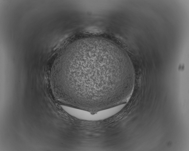 X0000090601397200707311151