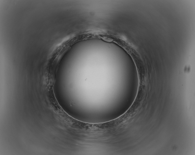 X0000090601398200707311151