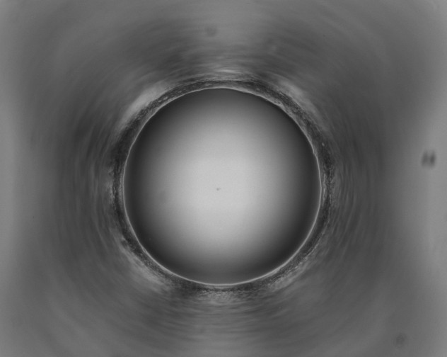 X0000090601402200707311152