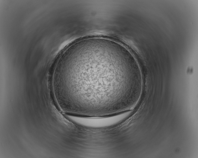 X0000090601404200707311152