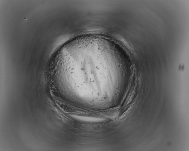 X0000090601405200707311152