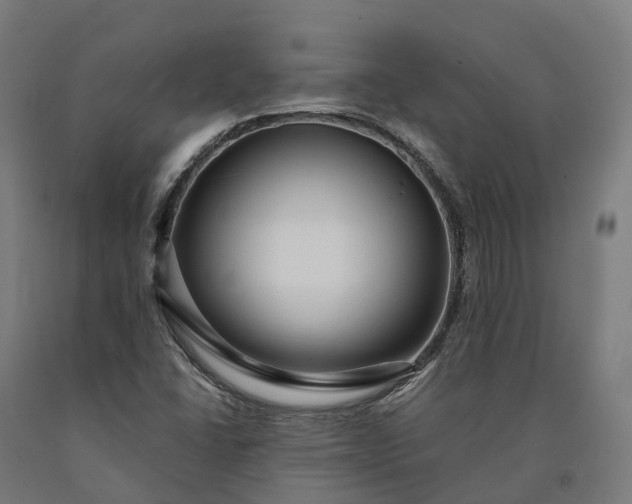 X0000090601406200707311152