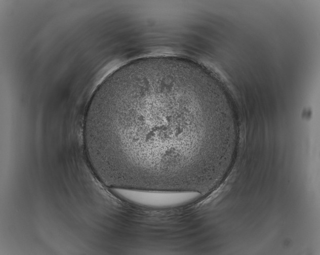 X0000090601409200707311152